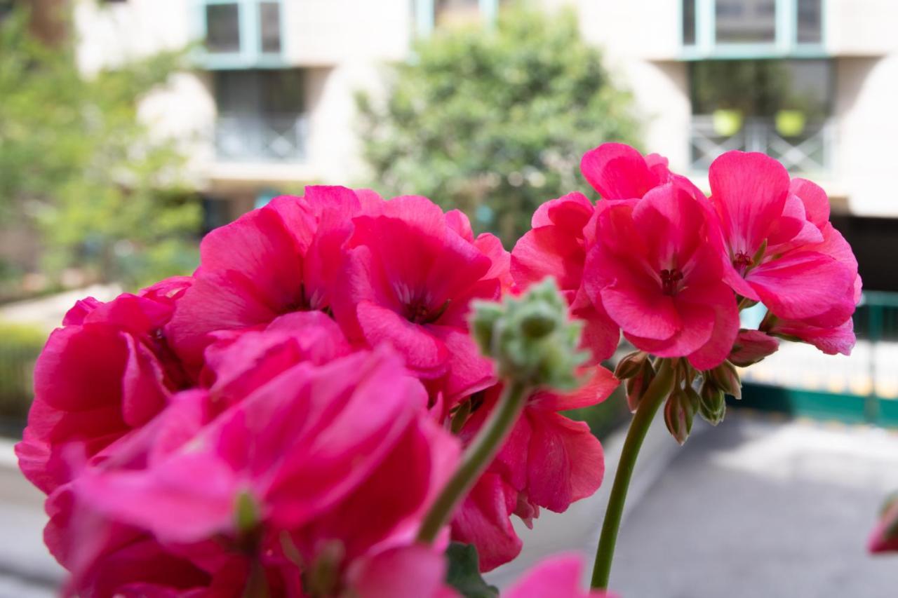 Boutique Apartment Nice Center Beach Free Parking Εξωτερικό φωτογραφία